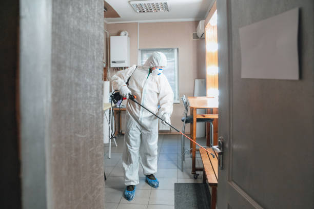 Best Black Mold Removal  in Damascus, MD